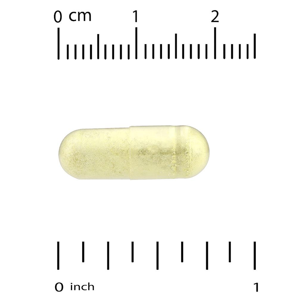 Quercetin Phytosom Quercefit®, 250 mg, 60 Veggie-Kapseln