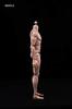 Neinei [Tbmodel] 1/6 Male Action Figure Body Set MX02-A
