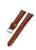 MORELLATO AMADEUS Caiman Crocodile Watch Gold with Replacement Tool U0518052041019M Strap, 19mm, Brown, [Officially Imported]