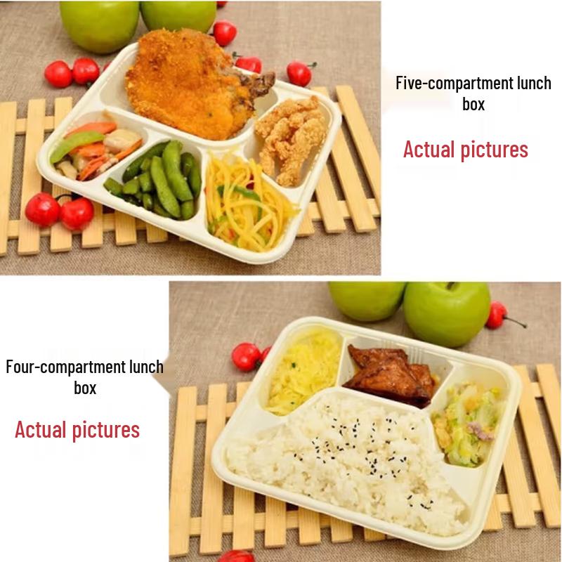 Disposable 5-Compartment Meal Prep Containers