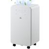2000mL Portable Dehumidifier with Air Purifier, 24H Timer, 5 Modes, 10L/Day, for Home Laundry, White
