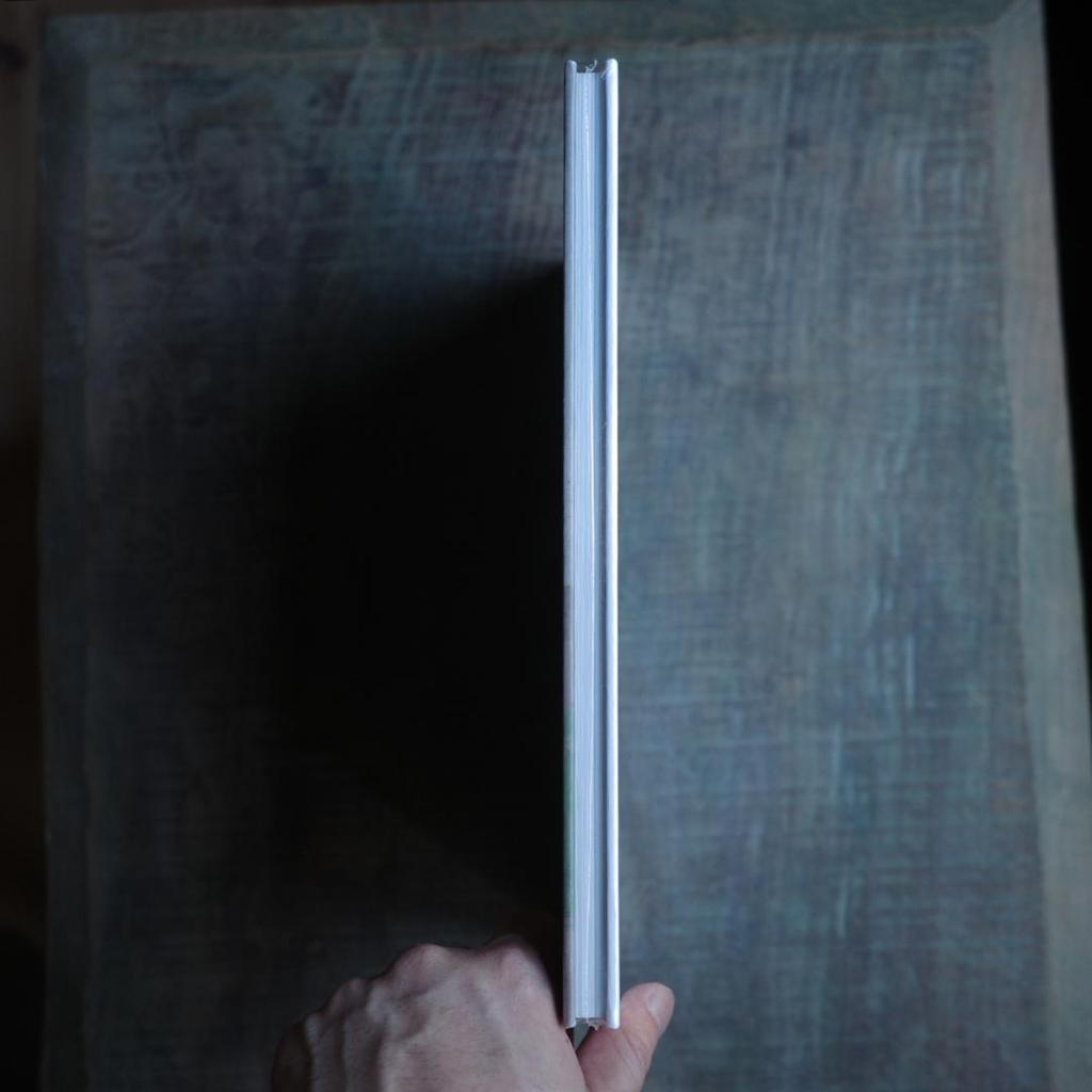 [USED] Giorgio Morandi: Late Paintings Morandi Art Collection