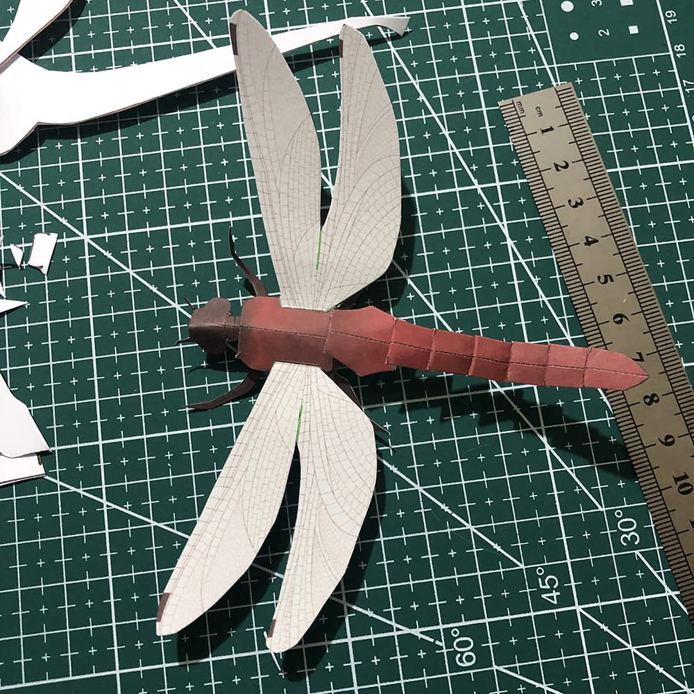 3D Assembly Papercraft Insect Model Set of 6 Stag Praying (Beetle, Beetle, Mantis, Butterfly, Dragonfly, Grasshopper)