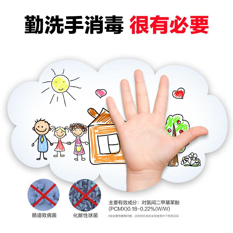 

Walch Healthy Care Foaming Hand Soap