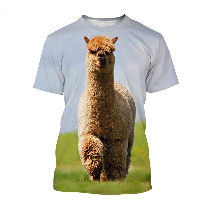 3D Cute Alpaca Print T-Shirt for Boys, Children's Animal Pattern Casual Short Sleeve Round Neck Summer Top