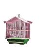 Small Villa Birdcage for Parrots, Budgies, Lovebirds, Sparrows & Finches