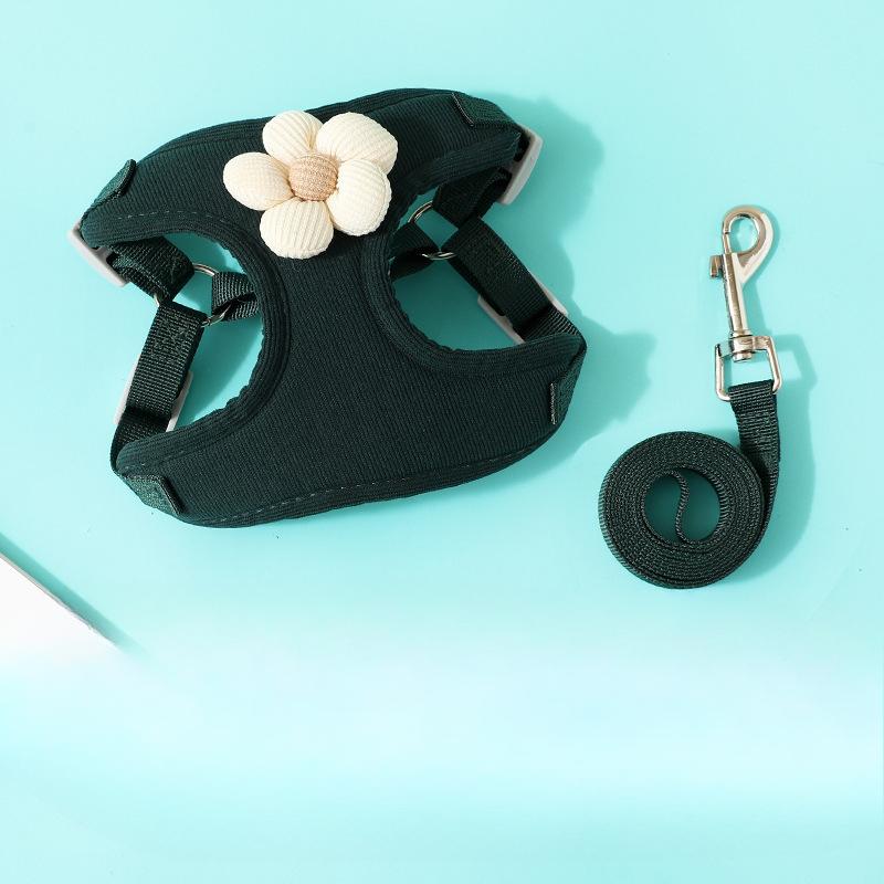 Welpenleine, Hundeweste, Kleiner Welpe Teddy, Bichon Frise, Bichon Frise Geschirr Kette, Gassi gehen