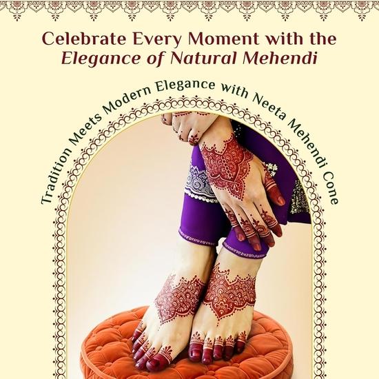 Neeta Mehendi Cone Body Art All Natural Herbal Pure Henna Past (12 Pieces In a Box) Pack of 2