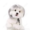 Pet Wigs for Dogs & Cats - Halloween Bob Style