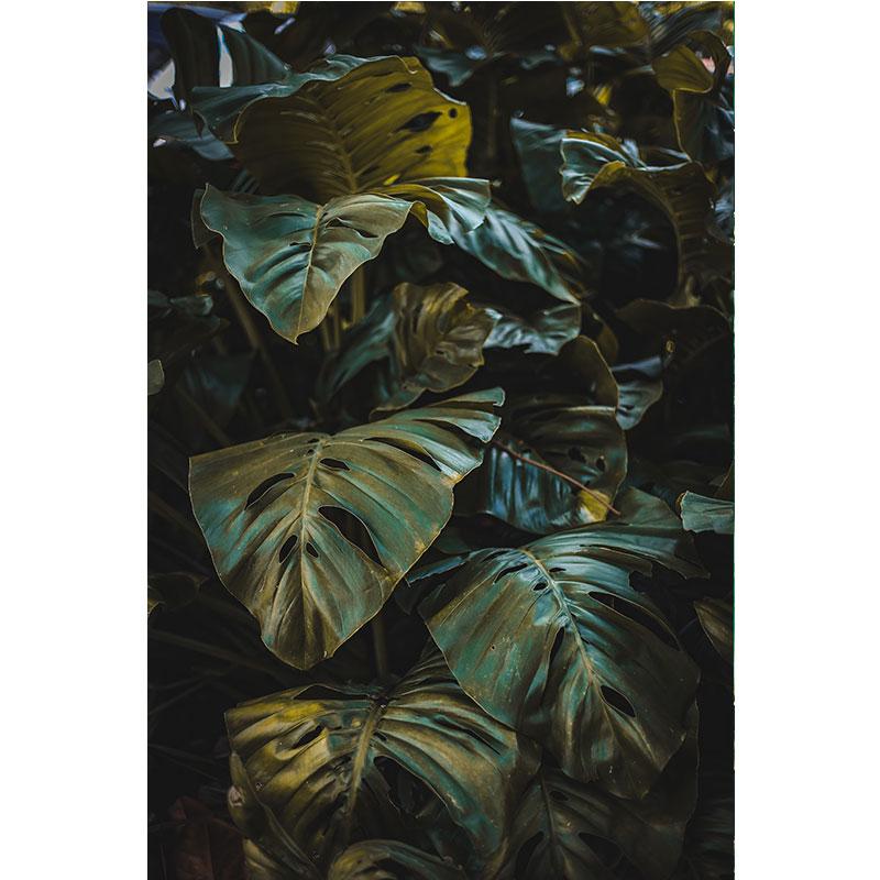 Modern Nature Canvas Painting Green Leaves Paintings Plant Pictures Tree Posters Prints for Living Room Decor Cuadros Wall Art