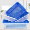 Rectangular Plastic Storage & Drain Basket