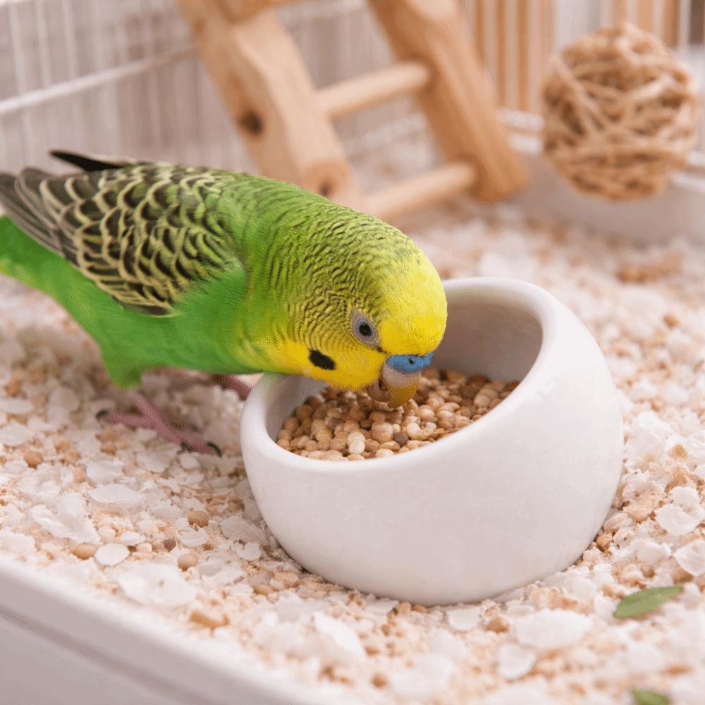 Ceramic Hamster Food Bowl Anti-Rollover Slanted-edged Pet Feeding Bowl Non-Slip Anti-Spill Small Animal Bowl Cage Accessory