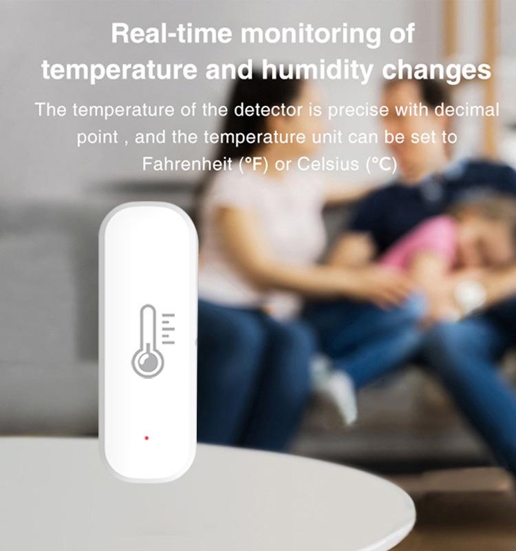 Graffiti Smart WiFi Temperature and Humidity Sensor for Home