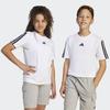 Adidas J 3s T shirT 160