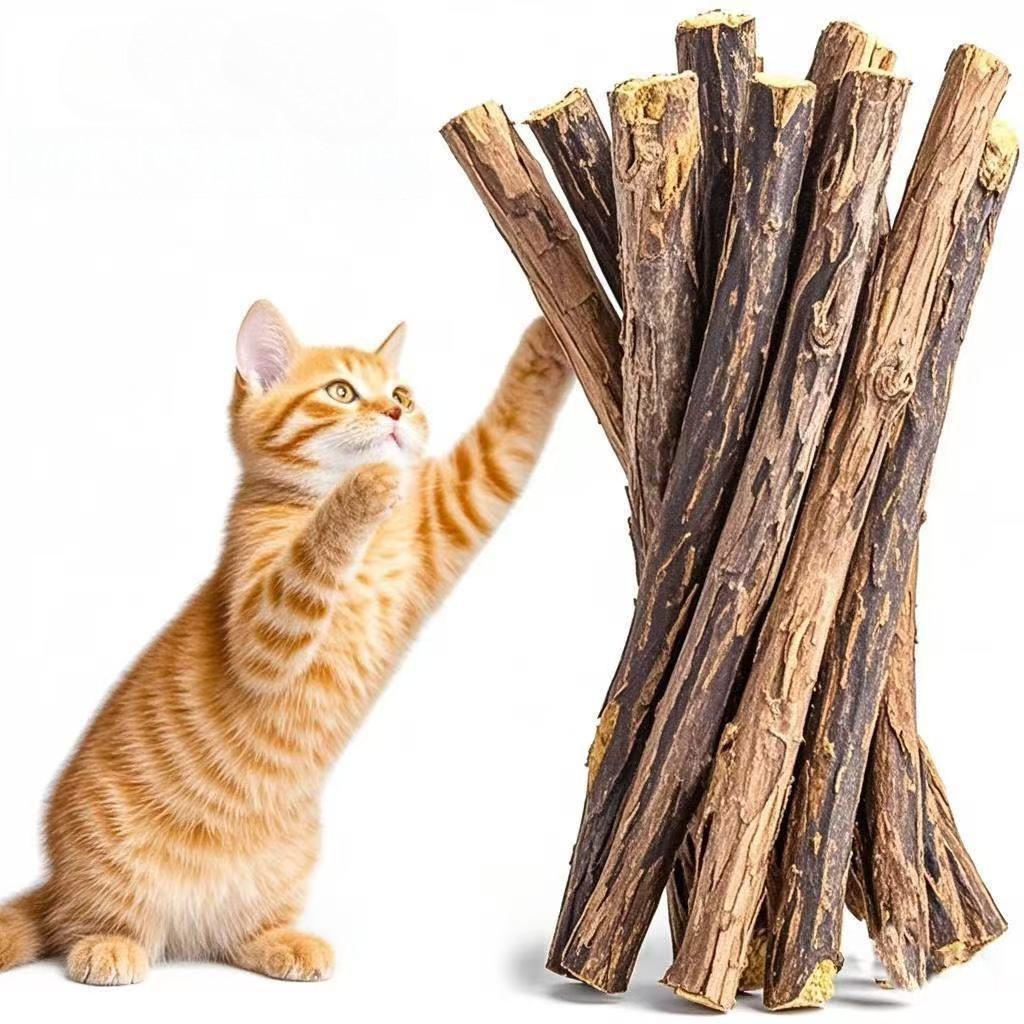 Catnip Cat Oral Cleaning Stick Kitten Supplies Accessories for Cats Natural Herbal Cat Chews Pet Products Pussycat Toyss Toys