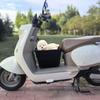 XPAY Pet Basket for Electric Scooters