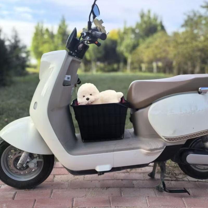 XPAY Pet Basket for Electric Scooters