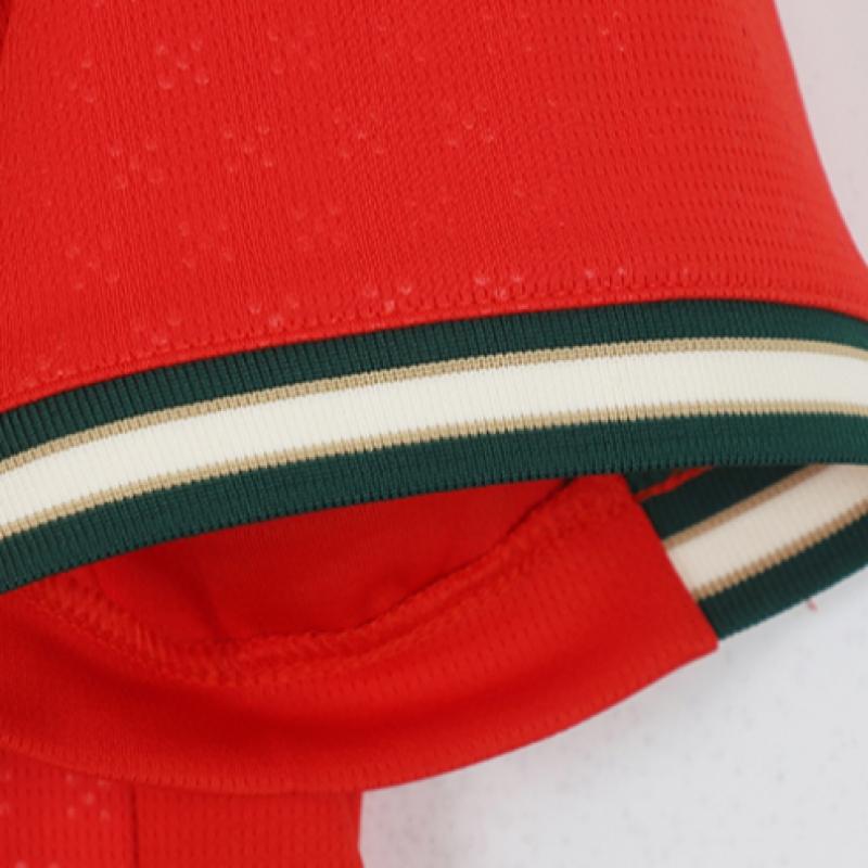 Puma 2025 Home Jersey Uniform