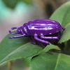 Charm Walking Insect Electric Beetle Cat Toys Auto Cicada Simulation Teaser Interactive Cute 1pc New Insect Mini Pet