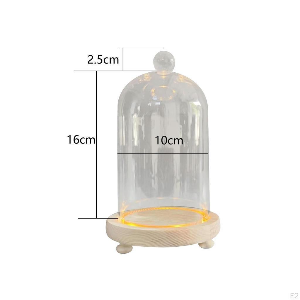 Clear Glass Cloche Dome Bell Jar Dustproof Display Case Flower Cover with Wooden Base