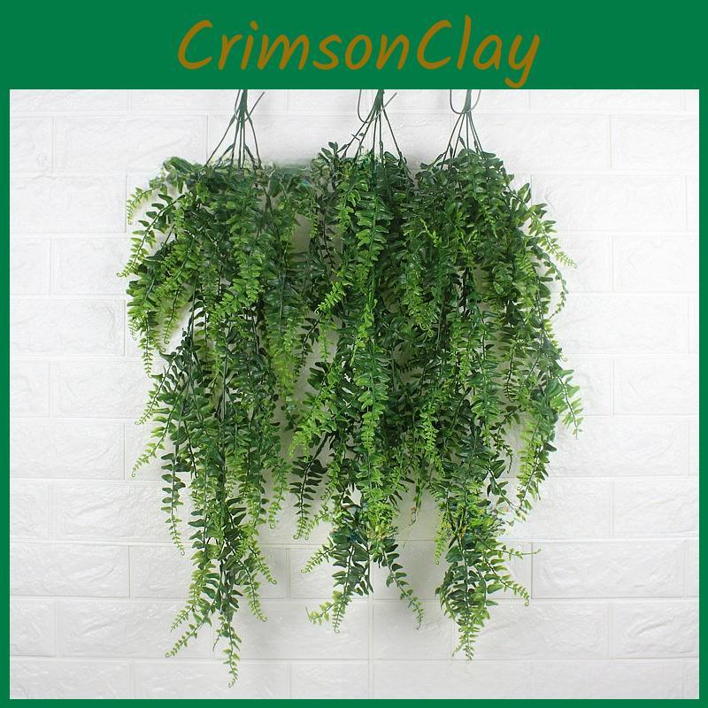 Pteridium Plant Latiusculum For Wedding And Outdoor Decorate Events