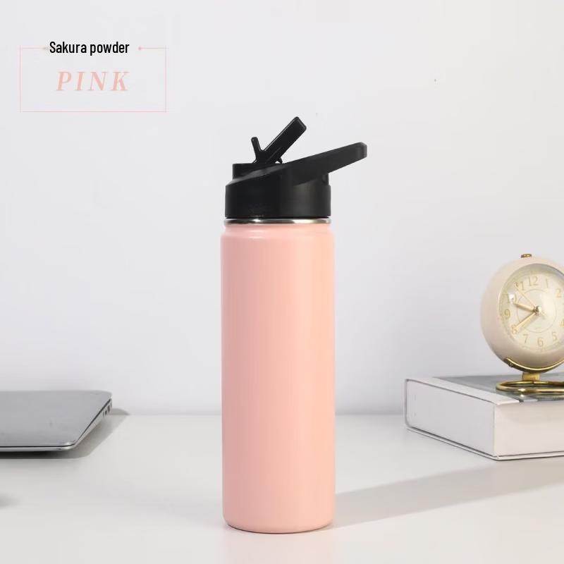 

Portable Insulated Stainless Steel Water Bottle
