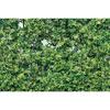MOON.QG Tropical Leaves Backdrops Spring Garden Backgrounds Green Grass Photo Wall Customized Name Birthday Wedding Photocall