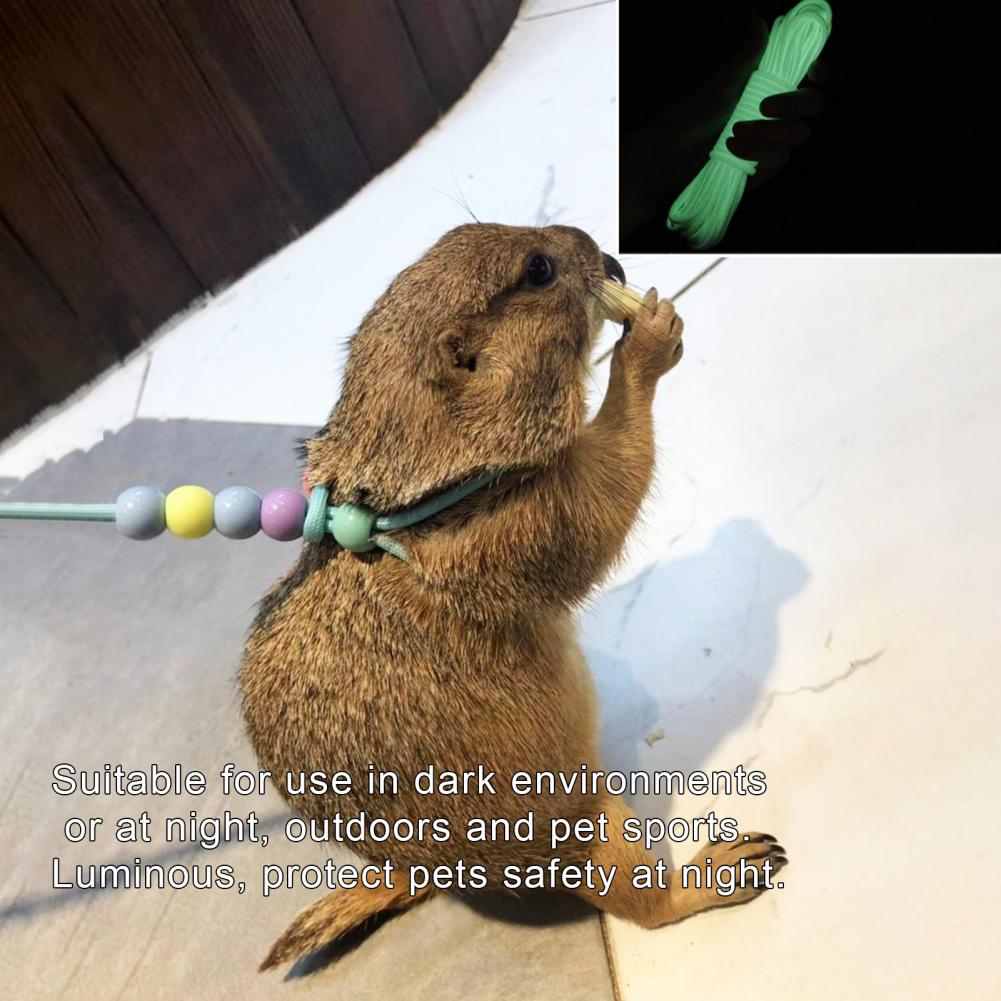 Lizard Leash Adjustable Night Luminous Portable Lizard Hamster Rabbit Nylon Traction Rope Pet Leash Adjustable Harness