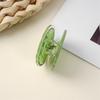 Doppelseitiger niedlicher Karotten-Acryl-Notizzettelclip