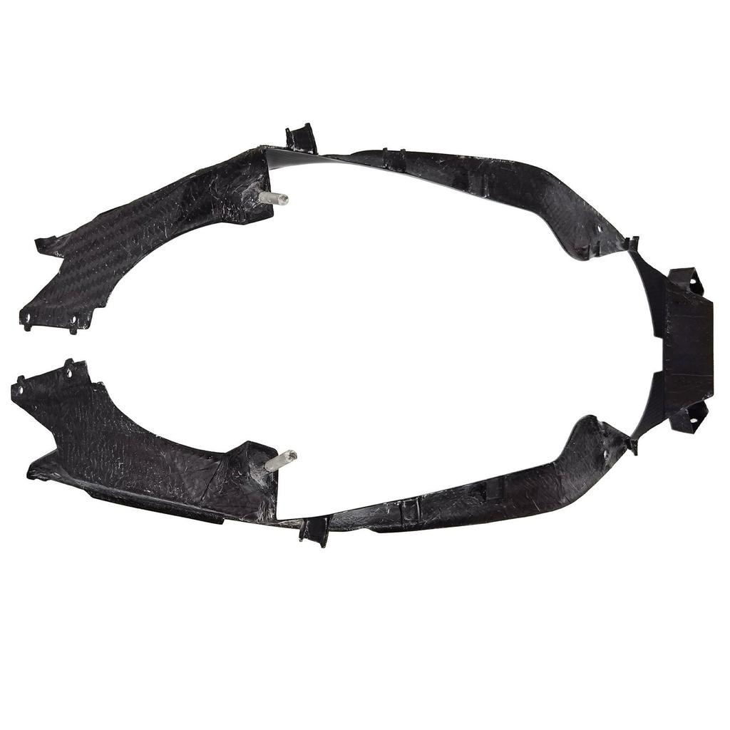 BMW S1000RR Carbon Fiber Radiator Plate Protector Accessory