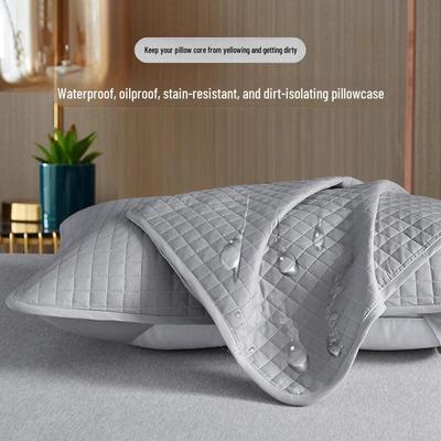 Protective Pillow Covers: Anti-Dust, Anti-Mite & Anti-Sweat, Soft Sanded Finish, Includes Two Pillowcases.