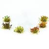 Simulation Grass Clusters Model Artificial Grass Small Grass Model  Garden Scene