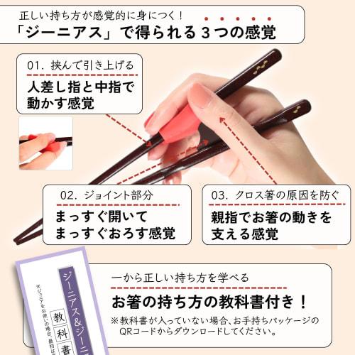 FlaColle Genius Chopsticks for Middle Schoolers To Adults: "Never Give Up, Serious Chopsticks for Adults" - Chopstick Practice Chopsticks [Designed To