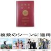 Passport Ski PU Passport Credit Overseas Business Passport Storage Convenient Airline Overseas Business Trip of [LeTradeJP] Case, Cover, Passport,