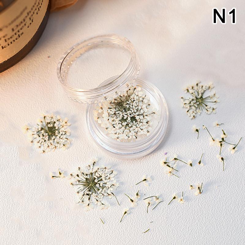 5 st/ask 3D torkade blommor nagelkonstdekorationer torkade blommor klistermärken gör-det-själv manikyr berlocker design för nageltillbehör