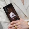 Pomeranian Dog Cell Phone Case for Samsung Galaxy S26 Ultra S25 S24 S23 S22 S21 S20 Note10 Cover