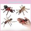 Educational Insect Animal Model Pack Plastic Figures Kid Learning Home Schooling
