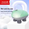 Shangheng Portable Head Massager CN Plug (adapter Included)