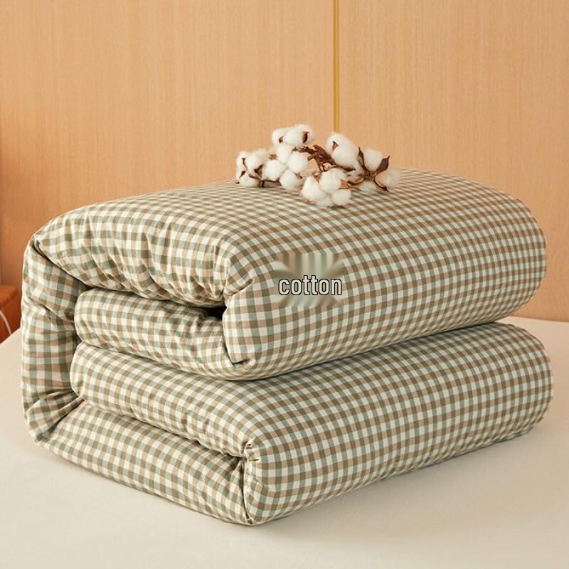 Oeny Thickened Xinjiang Cotton Spring/Autumn Duvet Insert