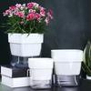 Self Watering Flowerpot with Cotton String Visible Water Level Window Bottom Watering Planter Automatic Watering Planter