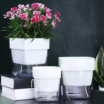 Selbstbewässernder Schnur-Pegel Fensterboden Sichtbarer Wasser-Blumentopf mit Baumwoll-Bewässerungsplanter Automatischer Bewässerungsplanter
