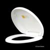 Xuanyong O-Shape Thickened Slow-Close Toilet Seat