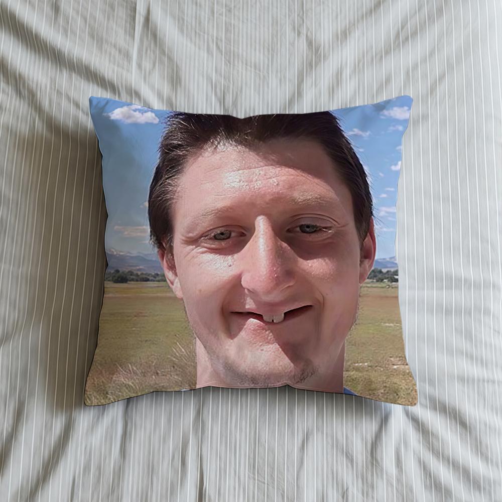 Cushion Cover Soft Case Sofa Living D-Daniel Selfie Room Home Comfortable Office Larson Decor Protective Pillow