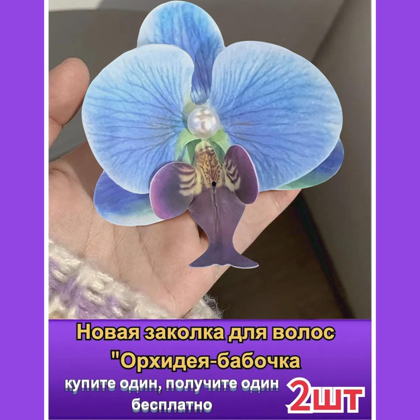 

2 шт. Заколка для волос с жемчугом фаленопсис One Size синий