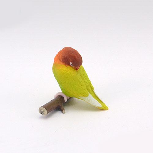Good Morning Bird Series Gashapon Toys Budgerigar Cockatiel Lovebird Action Figure Model Ornaments Toys