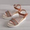 Women's Slope Heel Summer New Casual Middle Heel Fashion Platform Women's Shoes Xiaoxiangfeng Fashion Foreign Trade Large Size Sandals