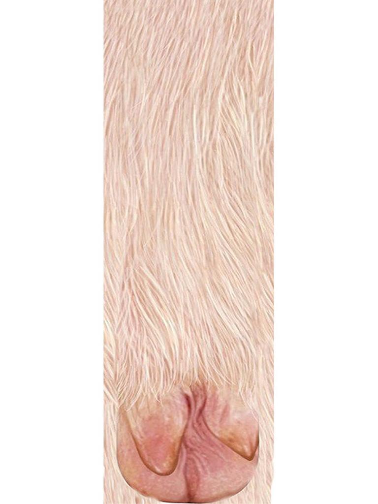 3D Animal Paw Prank Socks: Creative Cat & Dog Hoof Print Simulation