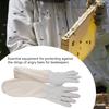 Beekeeping Protective Gloves with Long Canvas Sleeve Beginners Beekeepers Working Tool (XXL)