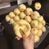 Crunchy Squishy Potato Handmade Ball Crispy Sound Squeeze Toy Round Blocks Filled Stress Relief Fidget Toy Festival Gifts Adult
