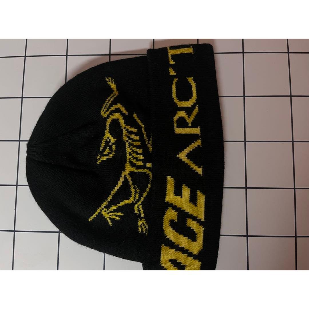 Used PALACE x ARC TERYX Beanie